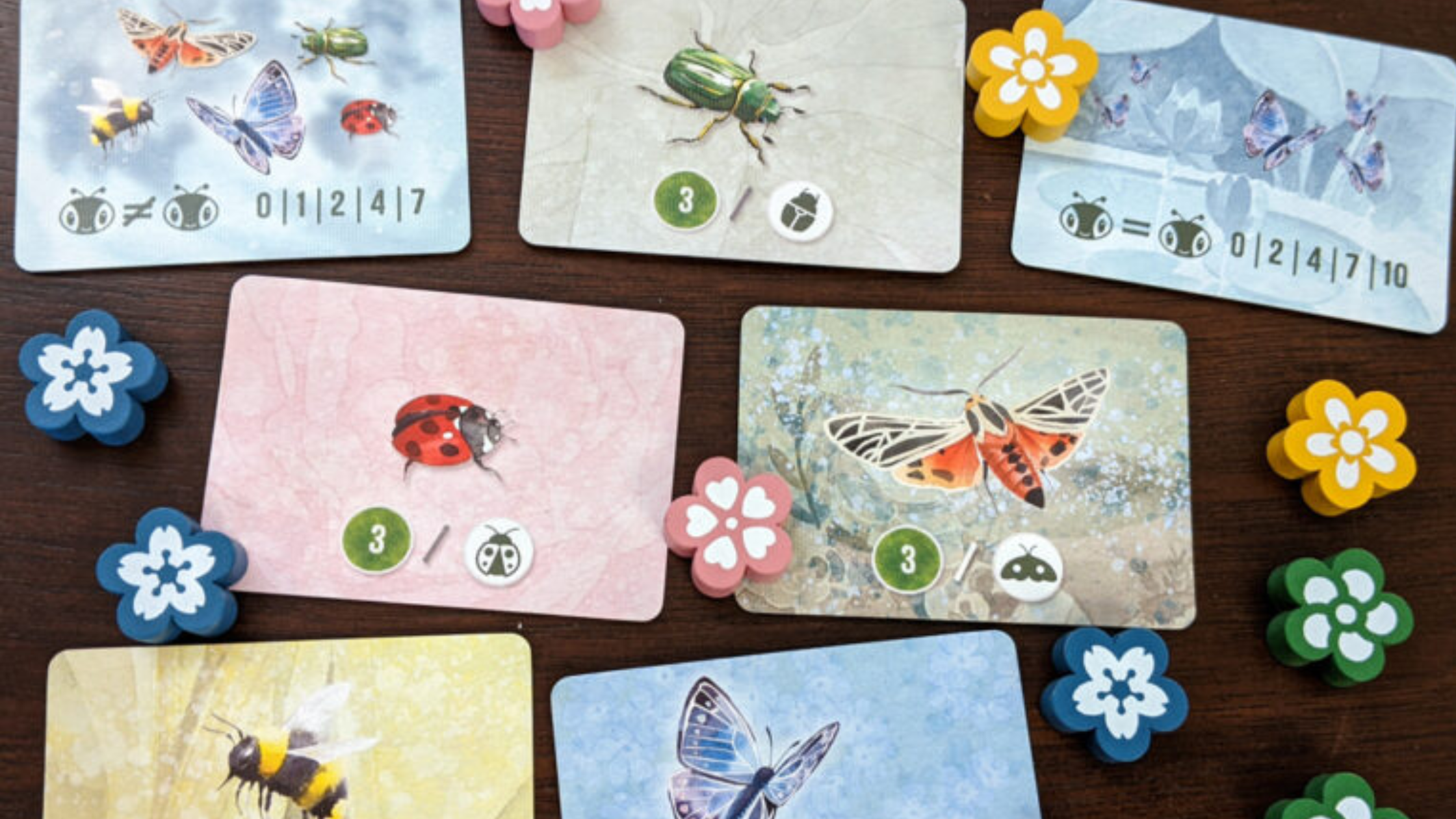 Nature-Themed Solo Card Games