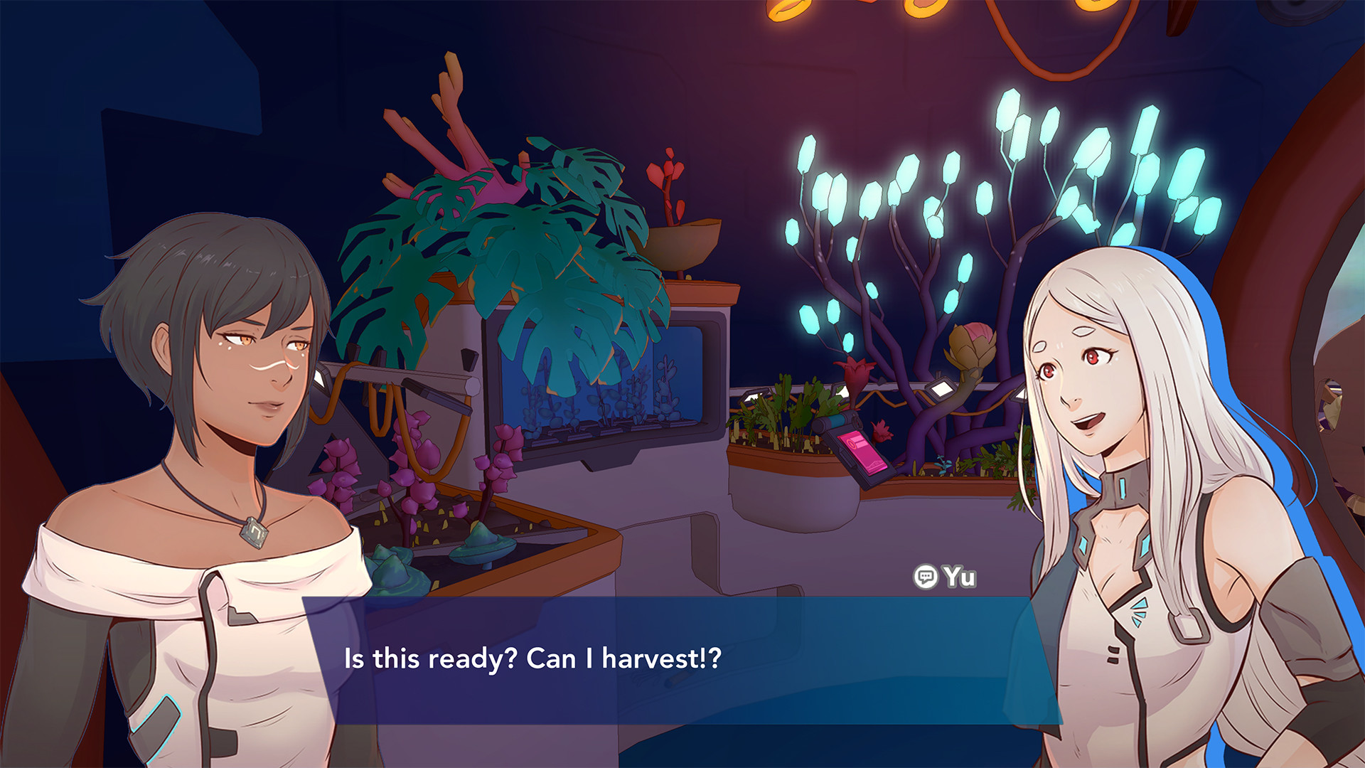 Haven Review