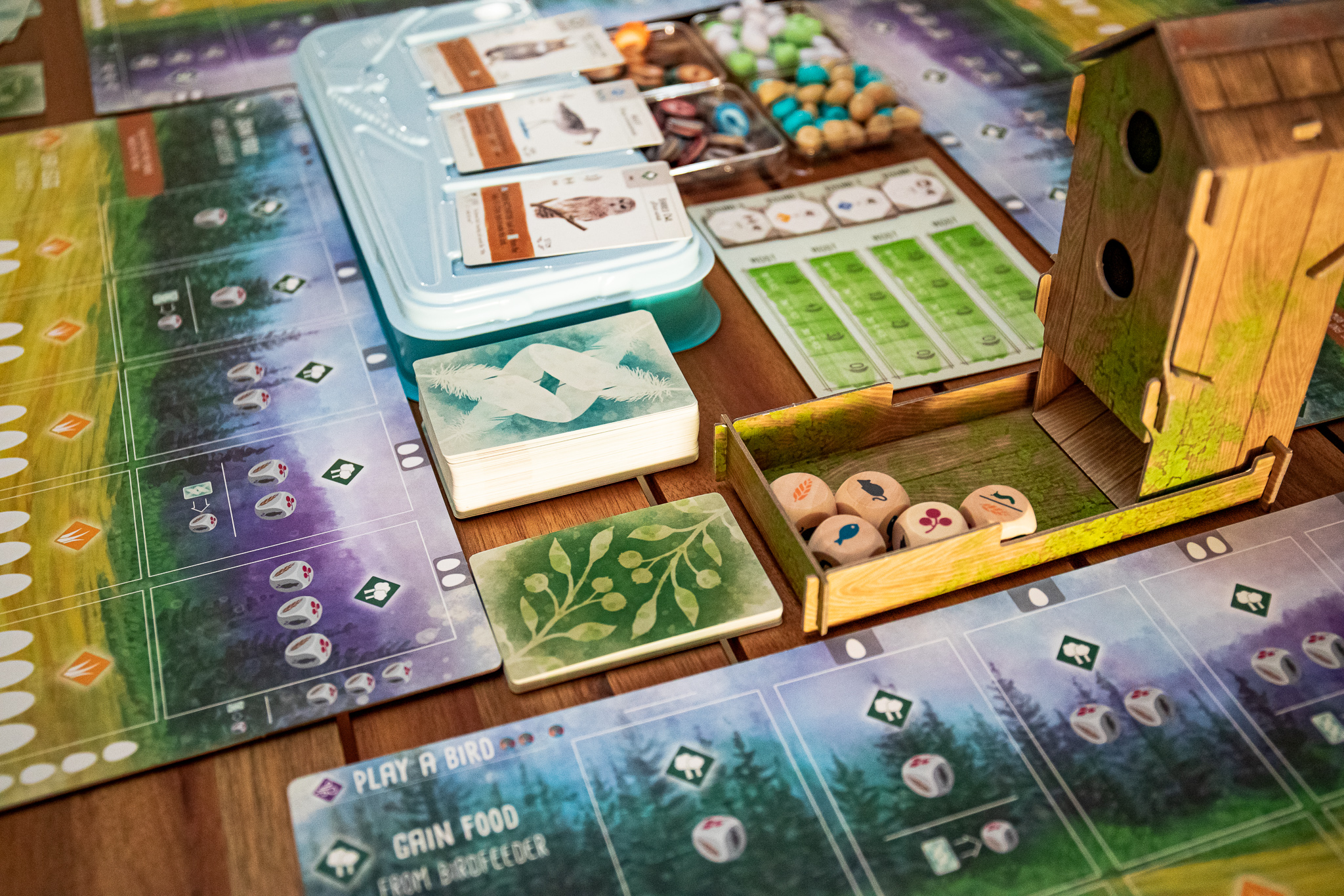 Wingspan – Cozy Board Game Review